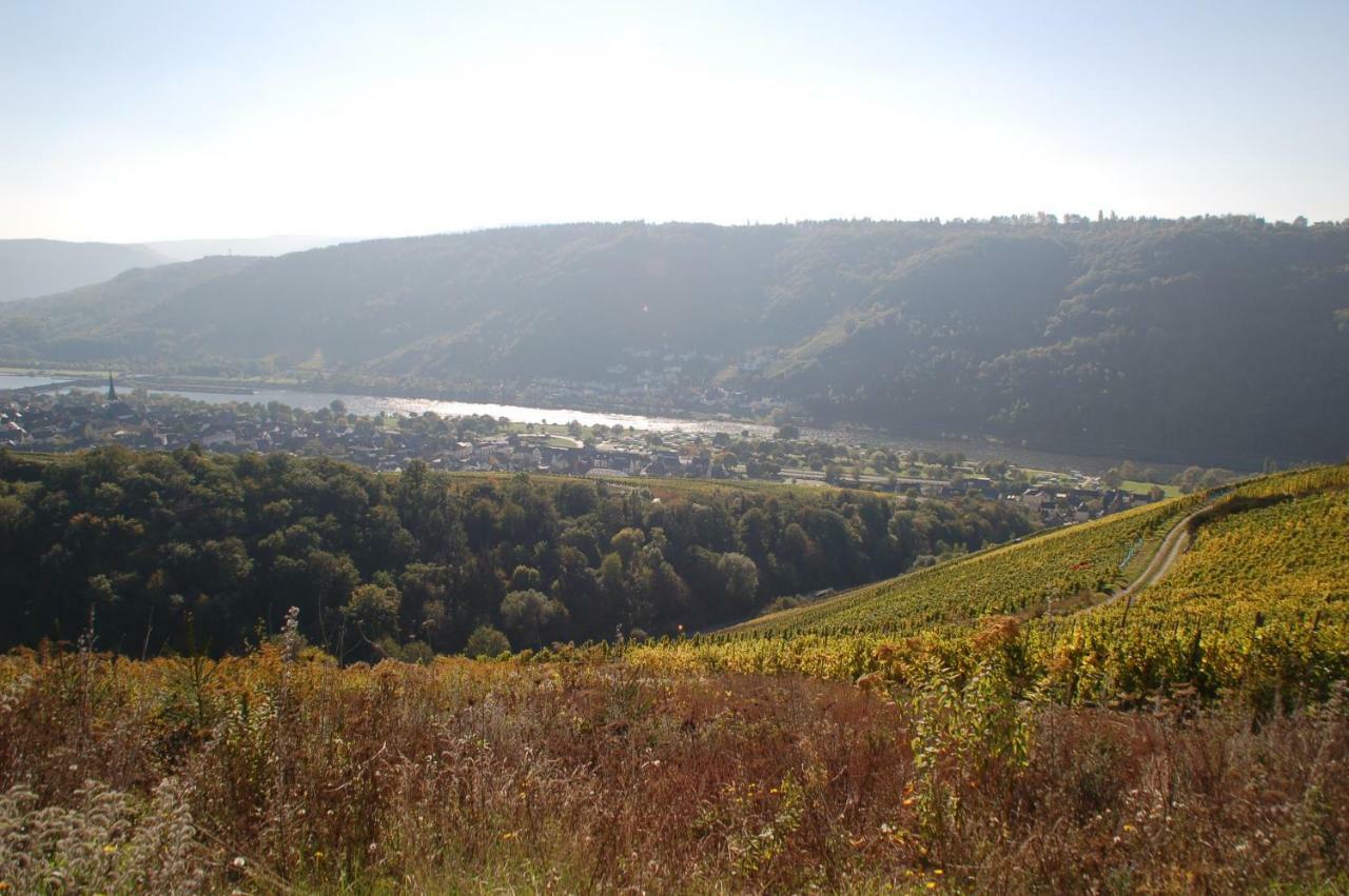 Отель Weingut Stiftshof Энкирх Экстерьер фото